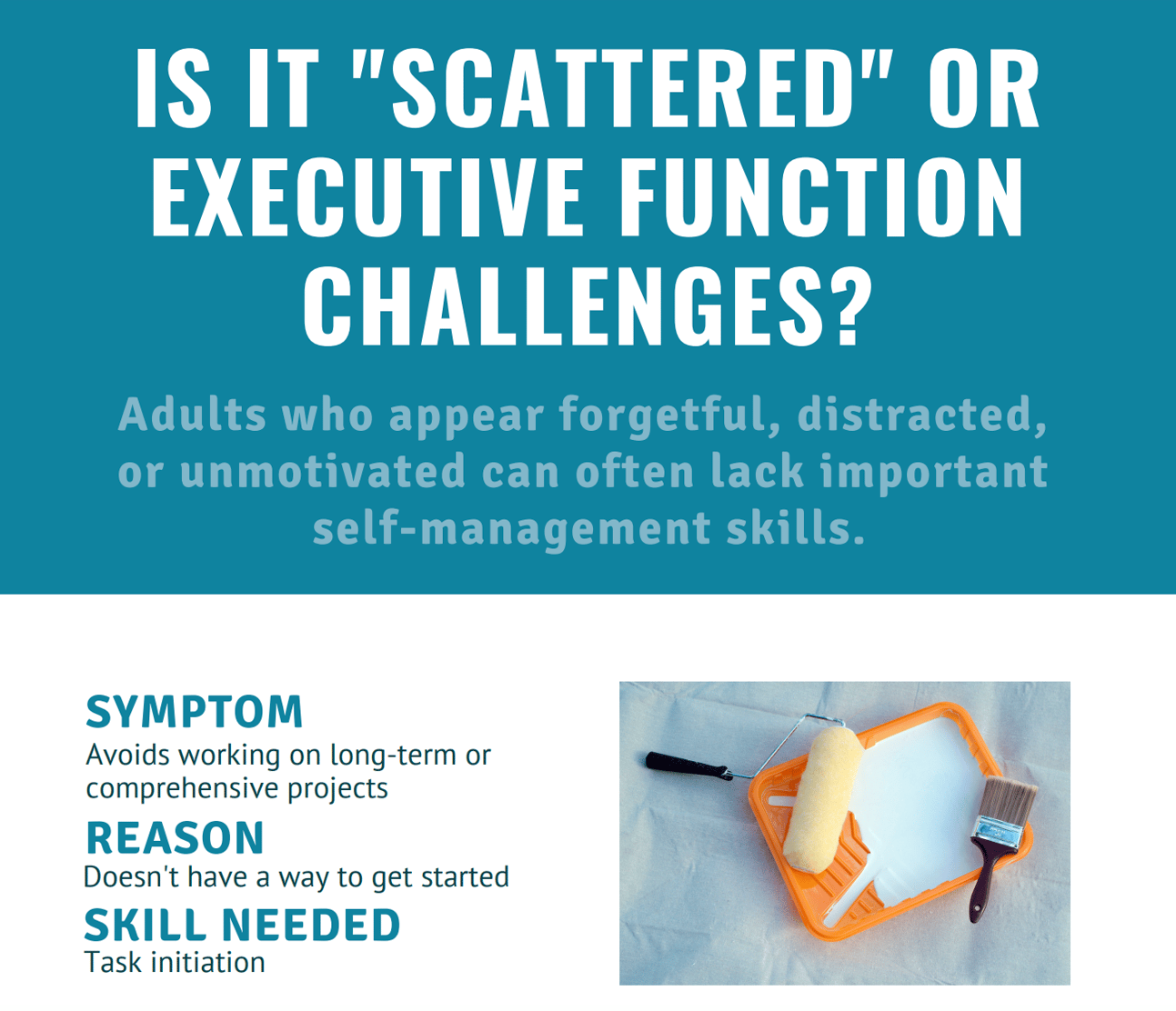 Infographic Scattered or Executive Function Challenges
